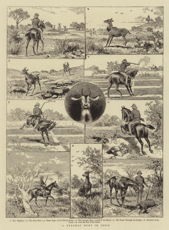 A Nylghau Hunt in India by Adrien Emmanuel Marie