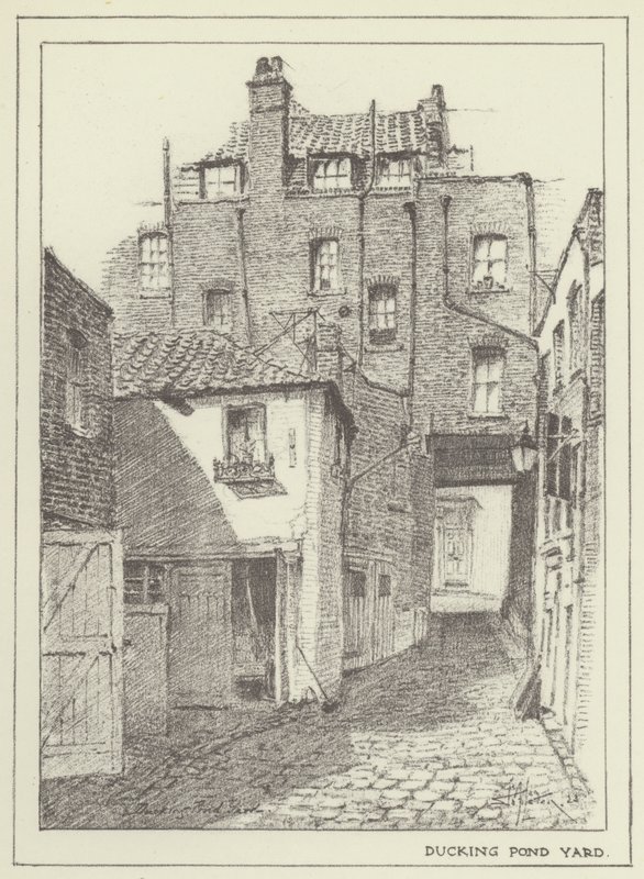 Ducking Pond Yard by Alan Stapleton