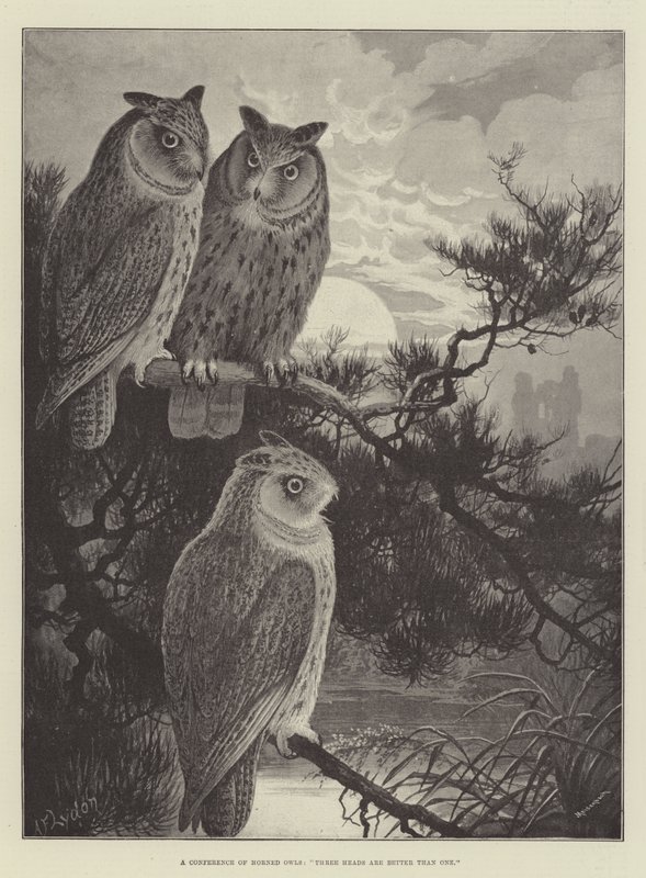 A Conference of Horned Owls, Three Heads are Better than One by Alexander Francis Lydon