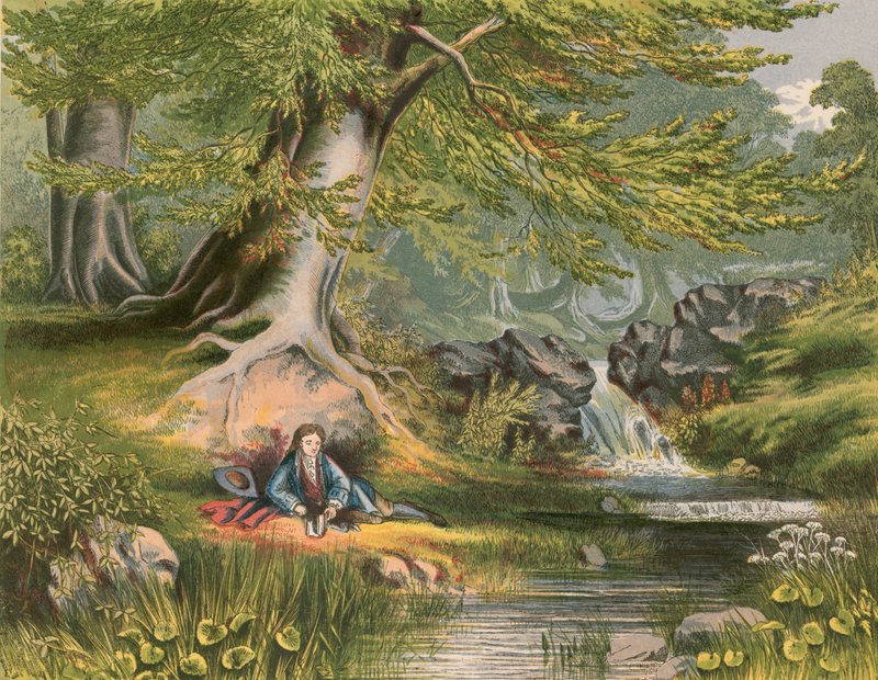 Illustration for Gray