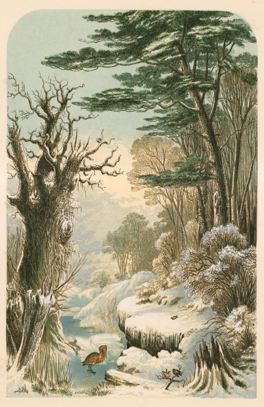 Illustration for Longfellow