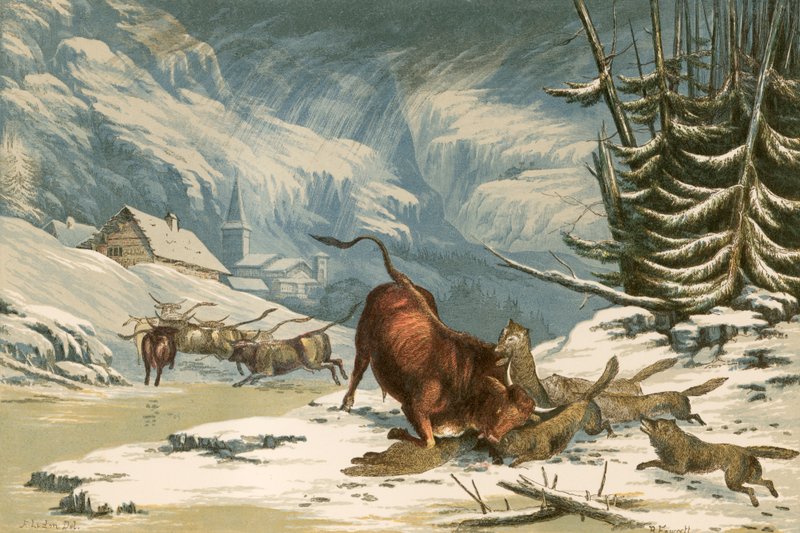 Illustration for Thomson