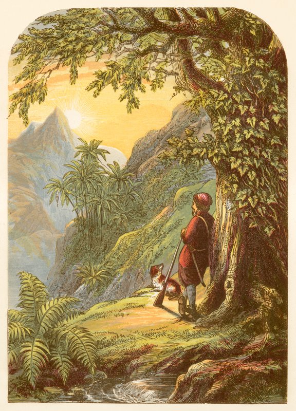 Robinson Crusoe Takes a Survey of the Island by Alexander Francis Lydon