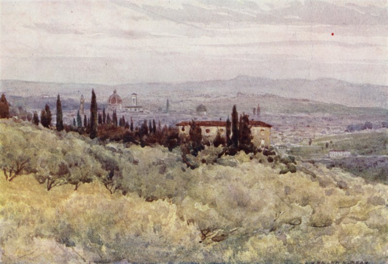 Florence from the Olive Gardens of San Domenico by Alexander Henry Hallam Murray