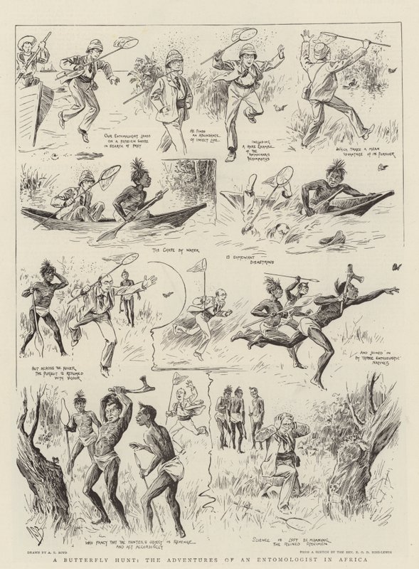 A Butterfly Hunt, the Adventures of an Entomologist in Africa by Alexander Stuart Boyd