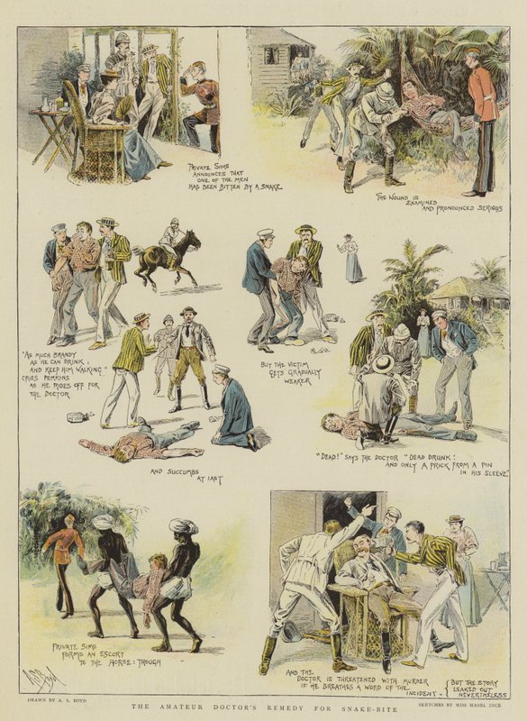 The Amateur Doctor