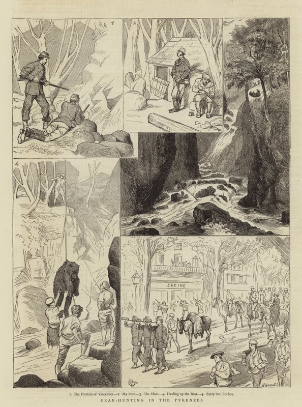 Bear-Hunting in the Pyrenees by Alfred Chantrey Corbould