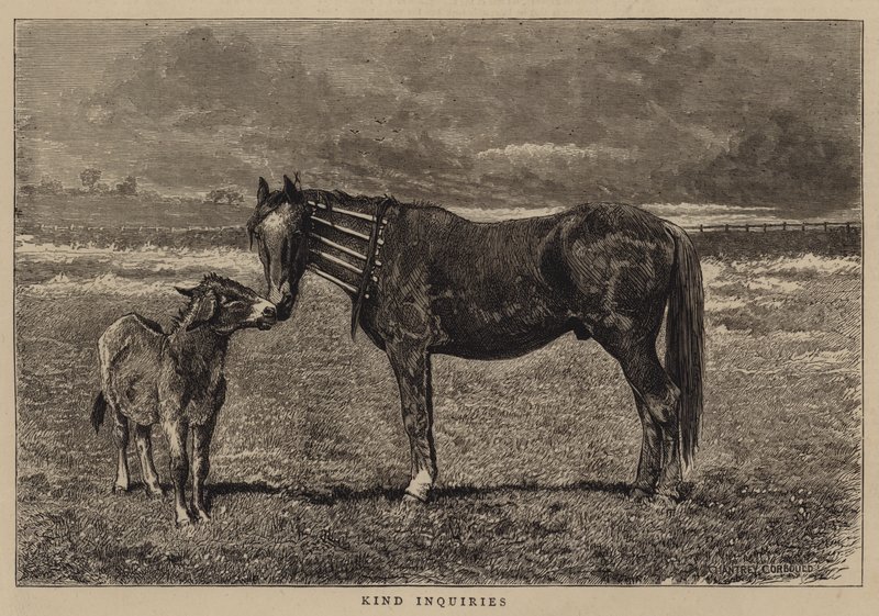 Kind Inquiries by Alfred Chantrey Corbould