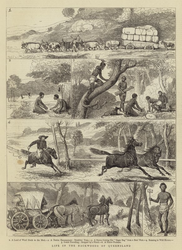 Life in the Backwoods of Queensland by Alfred Chantrey Corbould