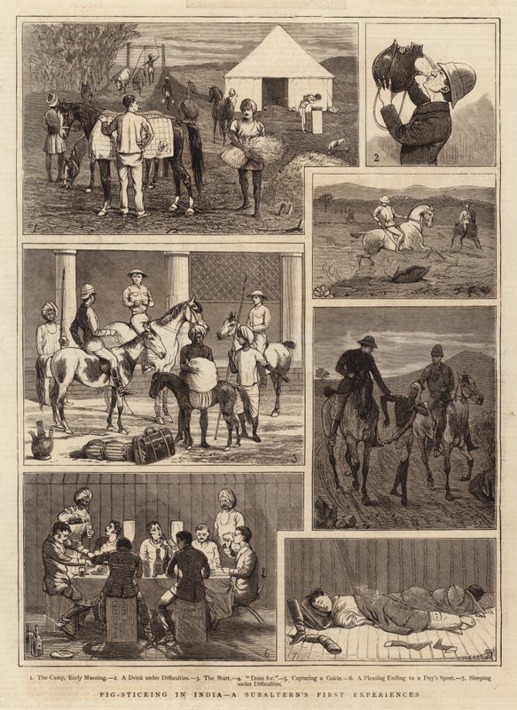 Pig-Sticking in India, a Subaltern