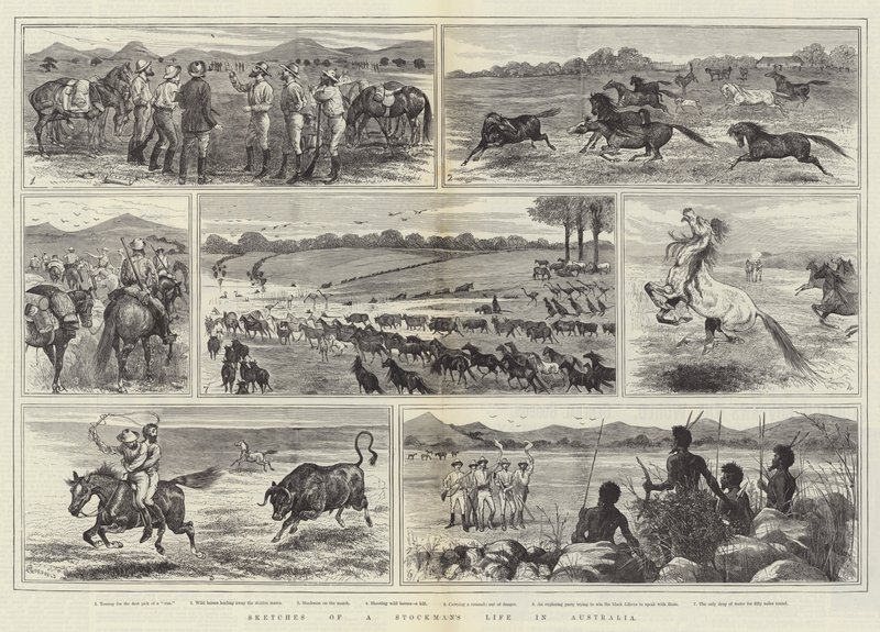 Sketches of a Stockman