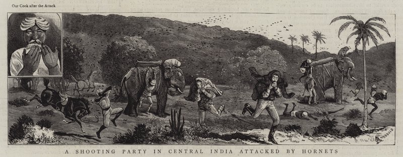 A Shooting Party in Central India Attacked by Hornets by Alfred Chantrey Corbould