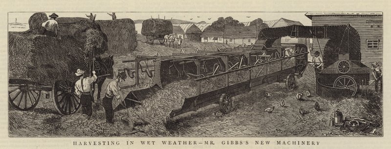 Harvesting in Wet Weather, Mr Gibbs