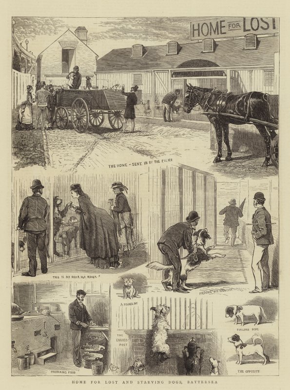 Home for Lost and Starving Dogs, Battersea by Alfred Chantrey Corbould