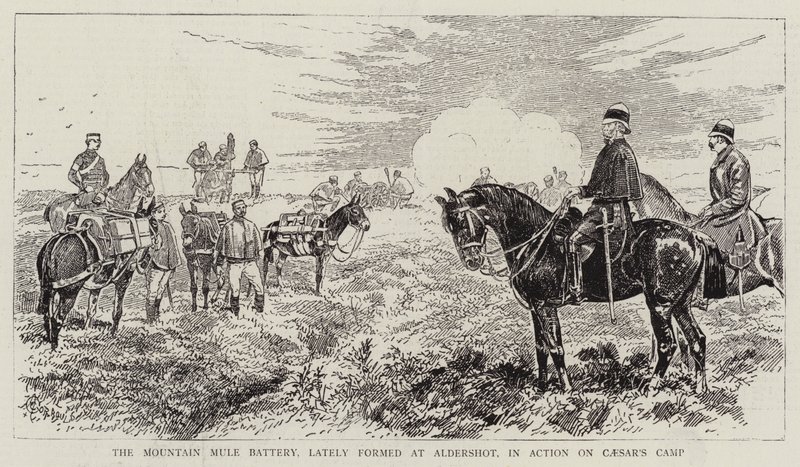 The Mountain Mule Battery, Lately Formed at Aldershot, in Action on Caesar