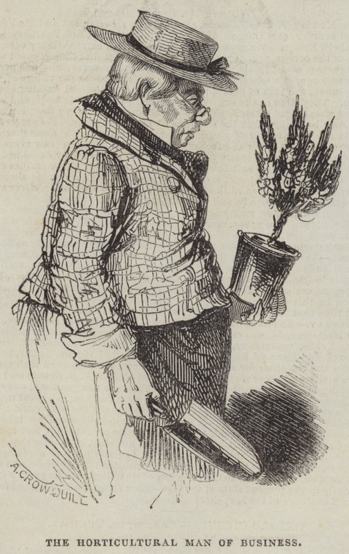 The Horticultural Man of Business by Alfred Crowquill
