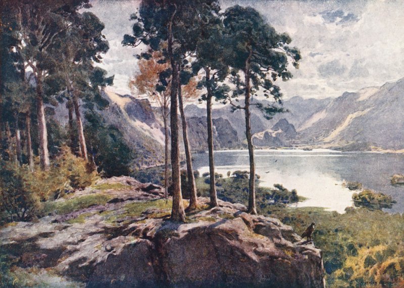 Lake District: Derwentwater, from Castle Head, a bright morning by Alfred Heaton Cooper