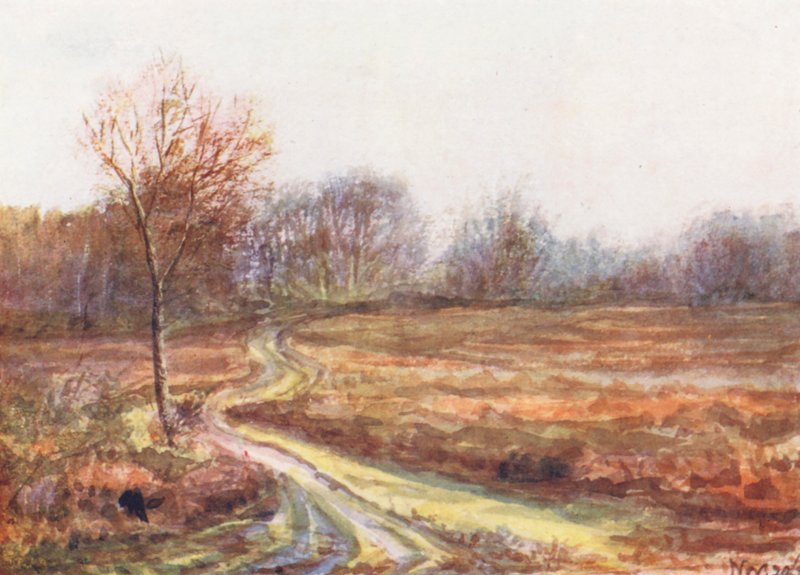 New Forest: Cart Track Over the Moor, Late November by Alice Julia Argles