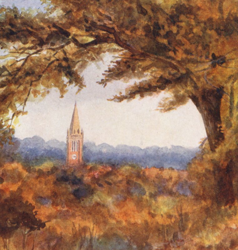 New Forest: Lyndhurst Church from the Cut Walk, November by Alice Julia Argles