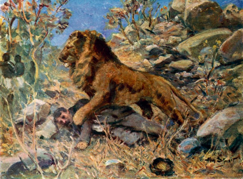 David Livingstone, Livingstone and the lion by Allan (after) Stewart