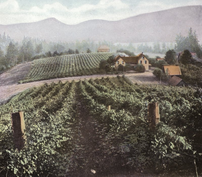 Oregon: Diversified Farming in Willamette Valley by American Photographer (after)
