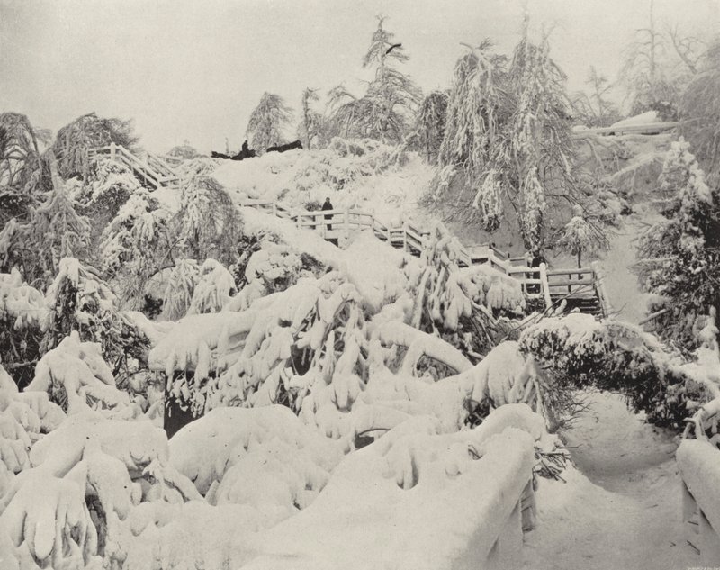 Winter Foliage on Luna Island by American Photographer (after)