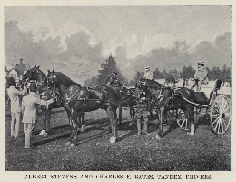Albert Stevens and Charles F Bates, Tandem Drivers by American Photographer