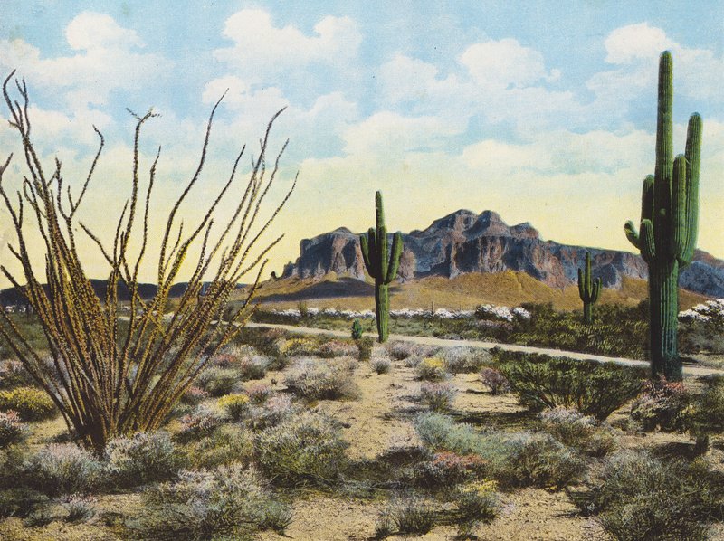 Superstition Mountain and Desert, Apache Trail by American Photographer