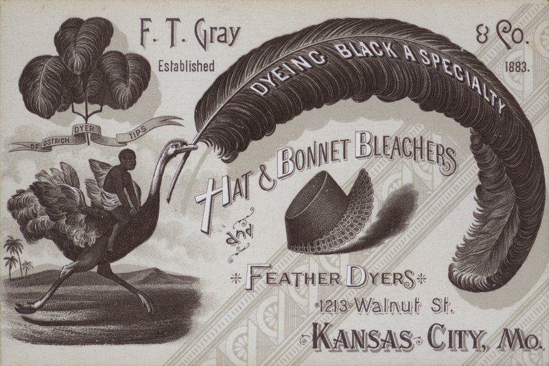 Advertisement for F T Gray, Hat and Bonnet Bleachers and Feather Dyers, Kansas City, Missouri, USA by American School