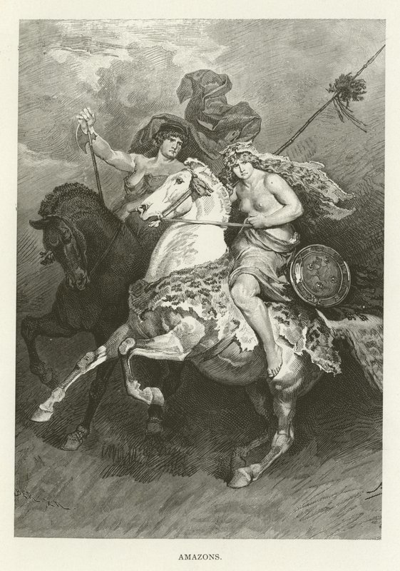 Amazons by American School