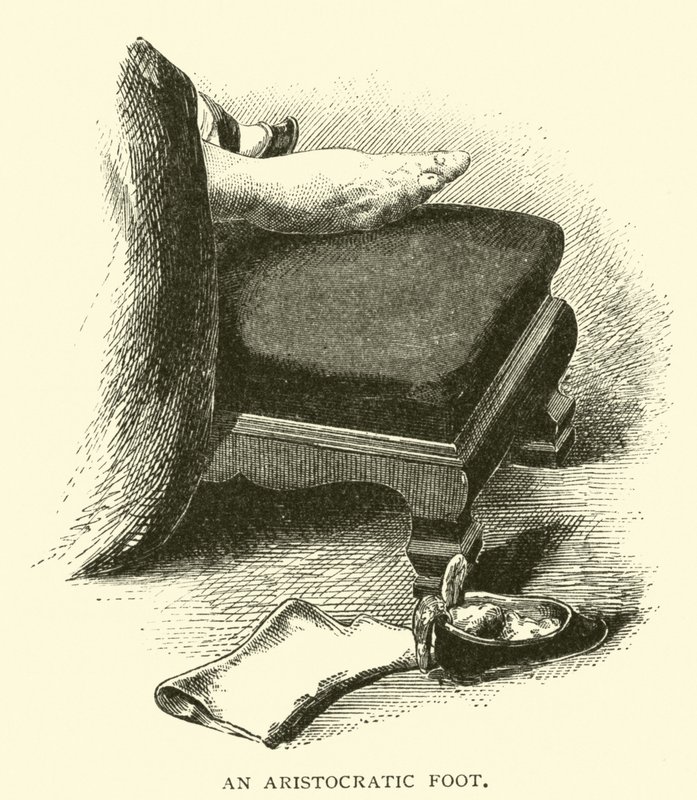 An Aristocratic Foot by American School