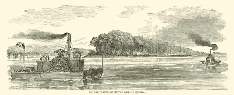 Confederate transport bringing cattle to Vicksburg, February 1863 by American School