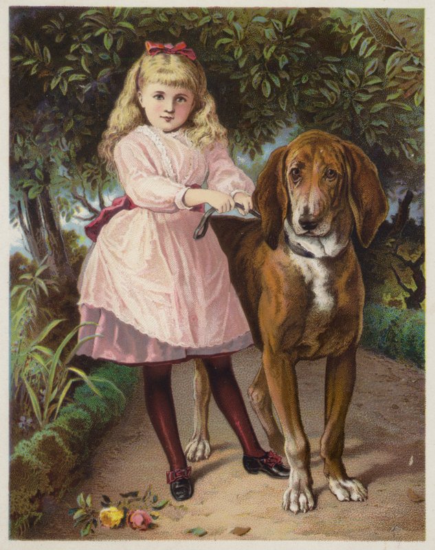 Girl Holding Bloodhound on a Lead by American School