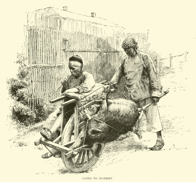 Going to market by American School