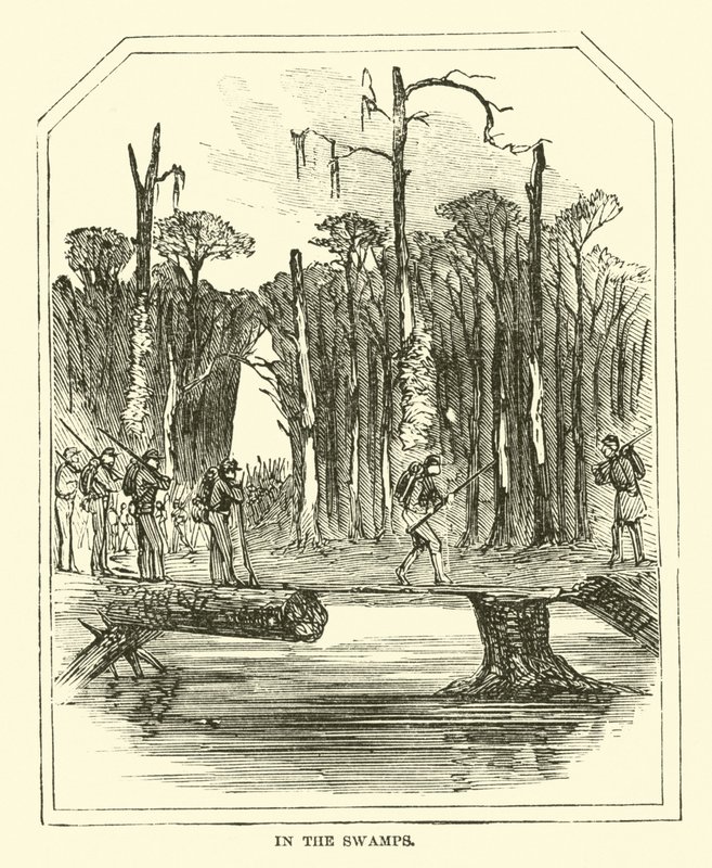 In the swamps, March 1863 by American School