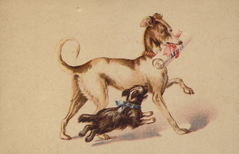 Large and Small Dog Running by American School