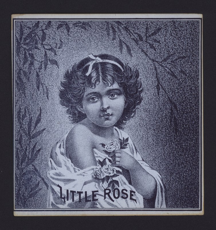 Little Rose, cigar label by American School