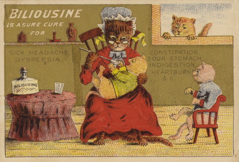 Medicine Time for the Cats by American School