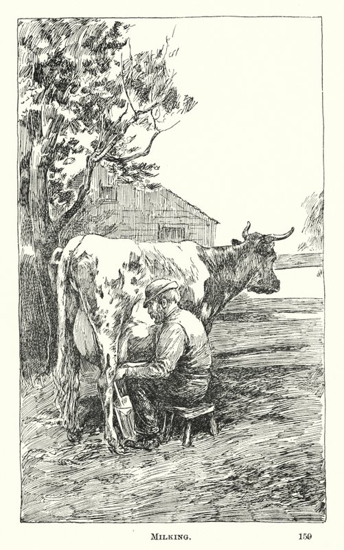 Milking by American School