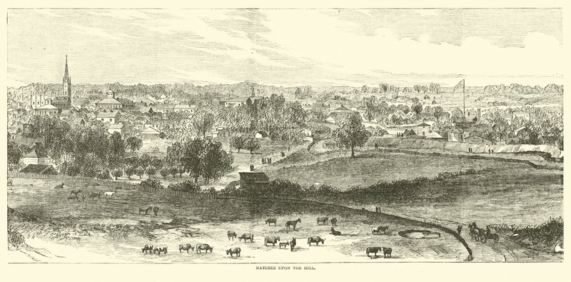 Natchez upon the hill, May 1862 by American School