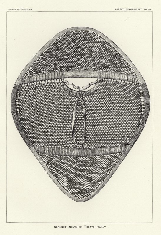Nenenot Snowshoe - Beaver-Tail by American School