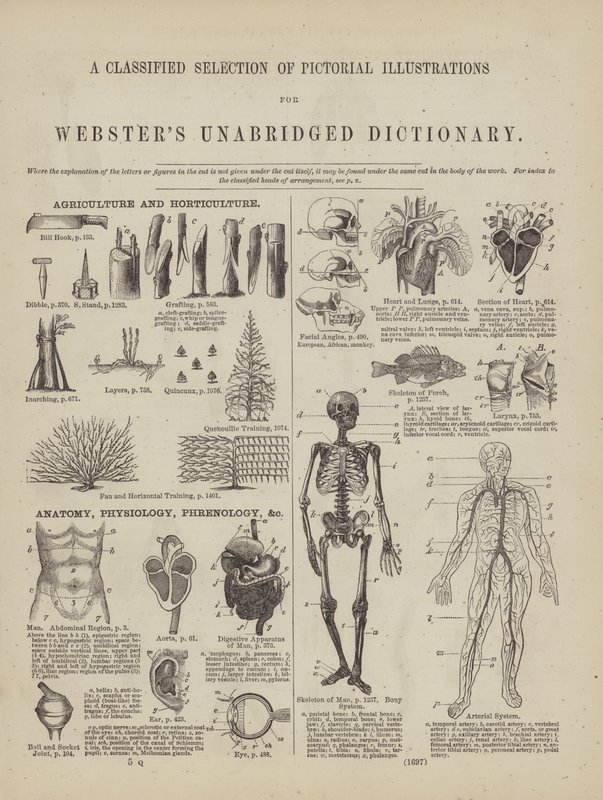 Page from Webster