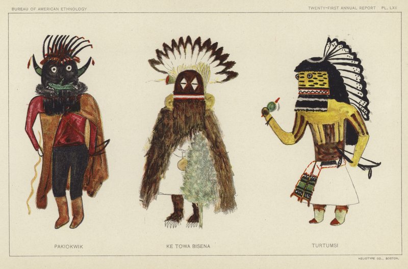 Pakiokwik, Ke Towa Bisena, Turtumsi by American School