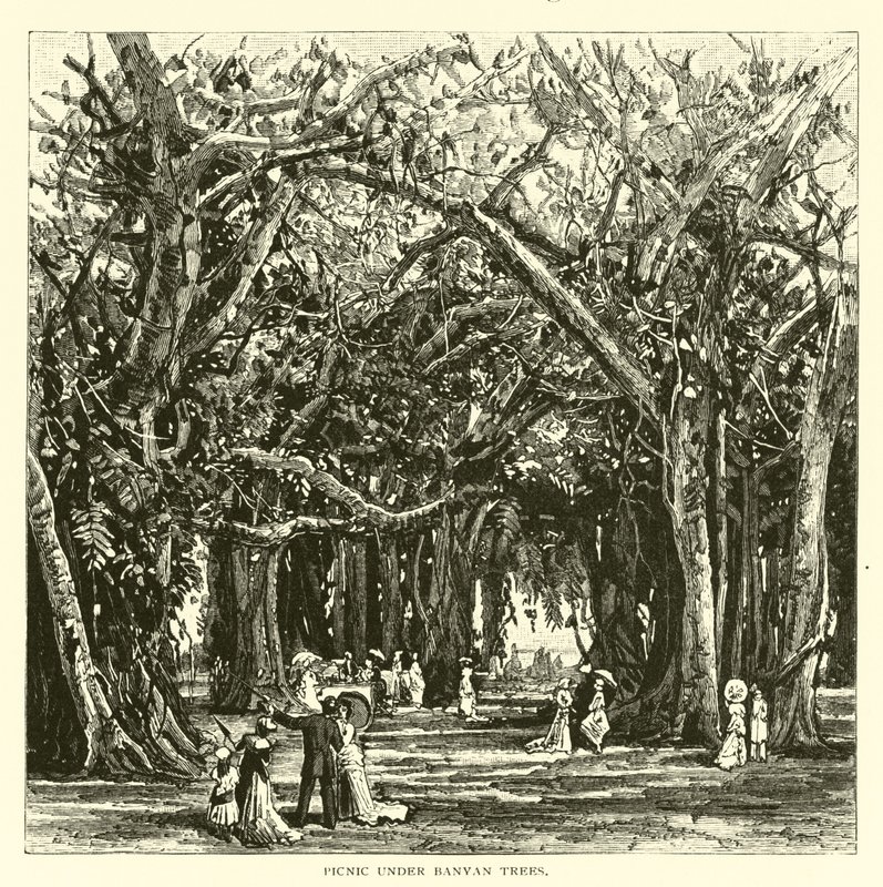 Picnic Under Banyan Trees by American School