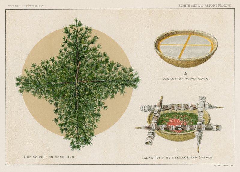 Pine Boughs on Sand Bed, Basket of Yucca Suds, Basket of Pine Needles and Corals by American School