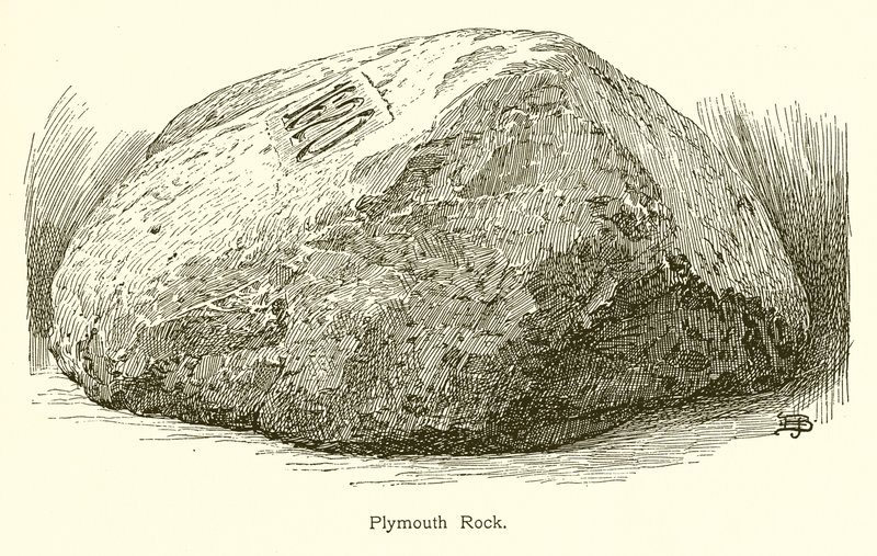 Plymouth Rock by American School
