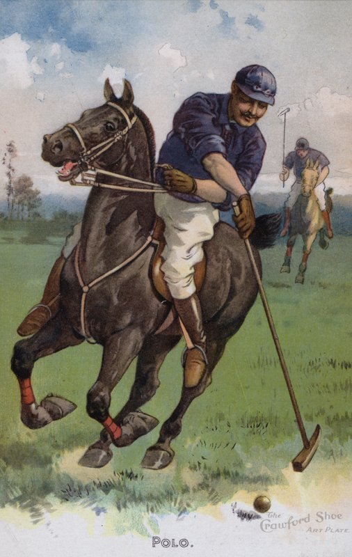 Polo by American School