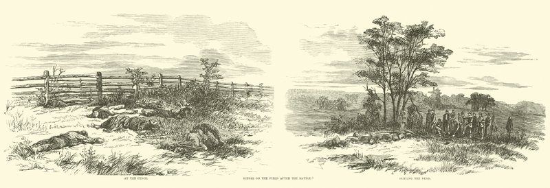 Scenes on the Field After the Battle, September 1862 by American School