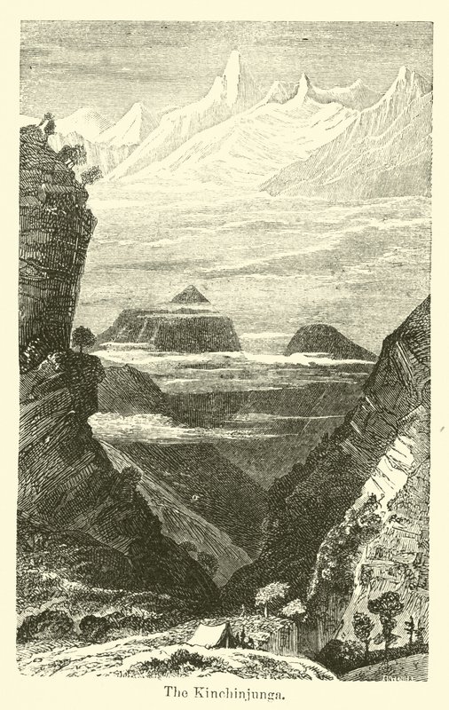 The Kinchinjunga by American School