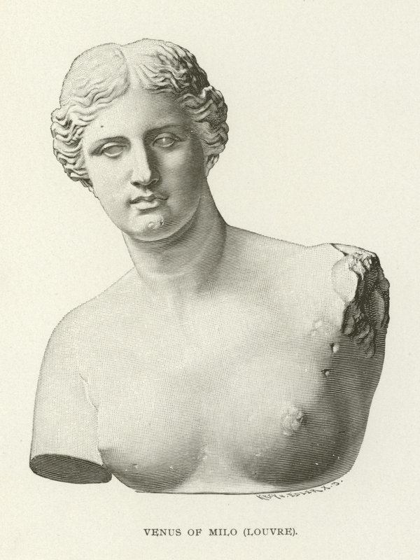 Venus of Milo, Louvre by American School